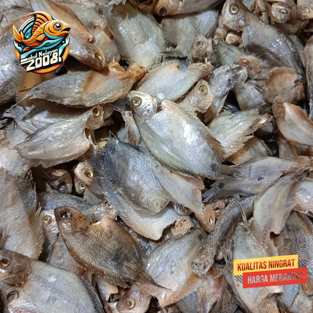 

Ikan sepat asin | ikan asin sepat