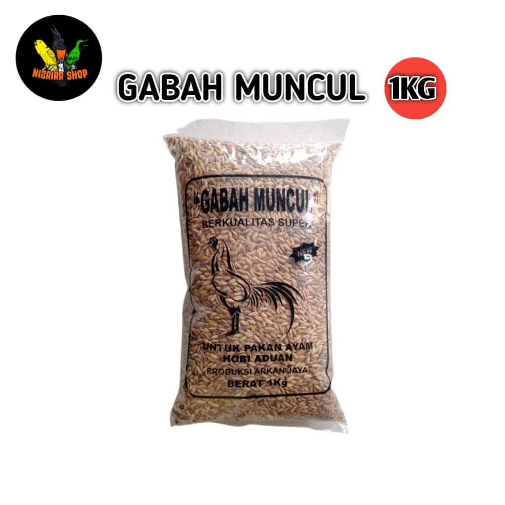GABAH MUNCUL SUPER 1kg pakan ayam / ungas