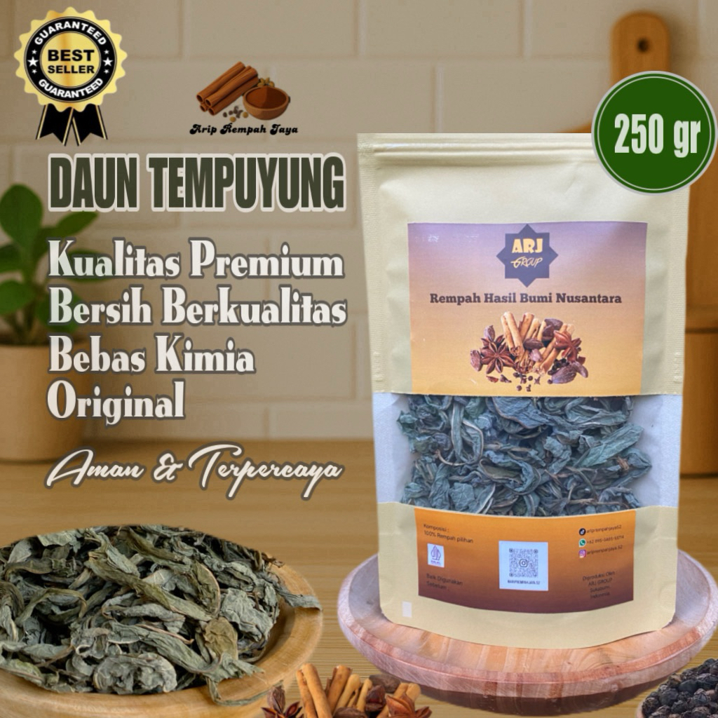 

Daun Tempuyung Kering 250 gram || Bersih Murni Daun Tanpa Batang