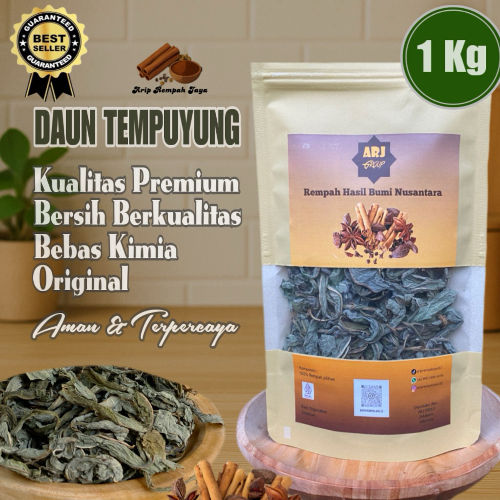 

Daun Tempuyung Kering 1 Kg || Murni Daun Tanpa Batang