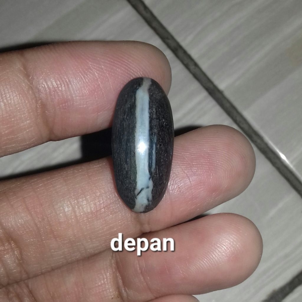 Batu Natural Fosil Kelor Kendit Tembus Asli