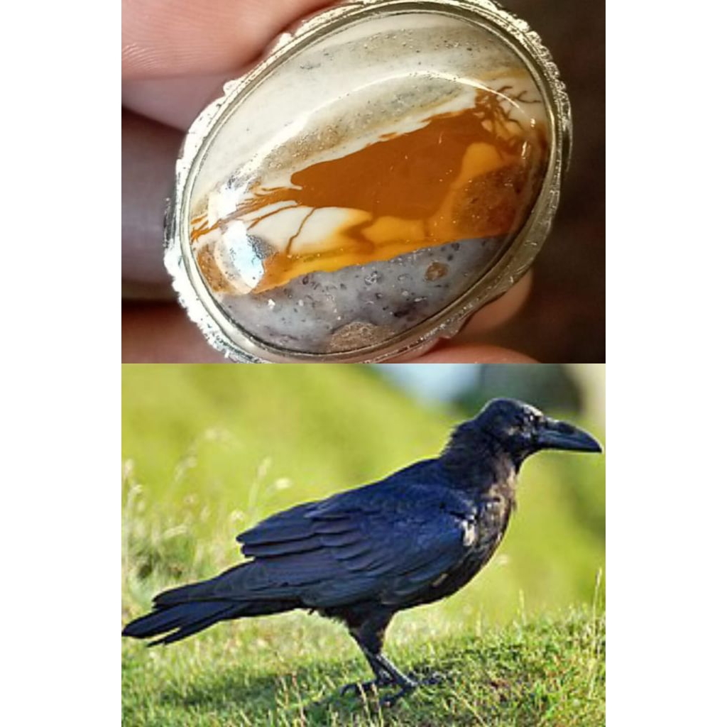 Natural Batu Pancawarna Garut Motif Gambar Burung