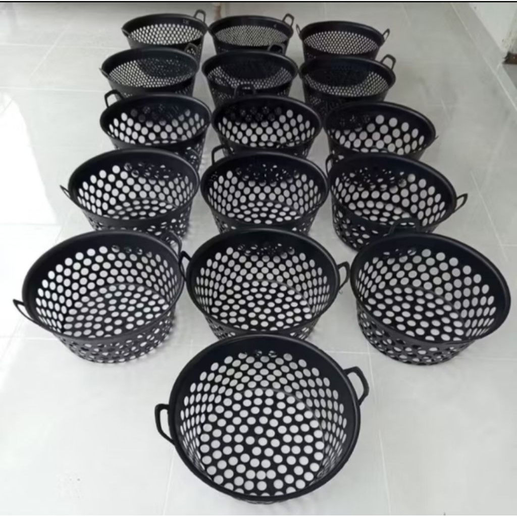 Bak sortir ikan lele