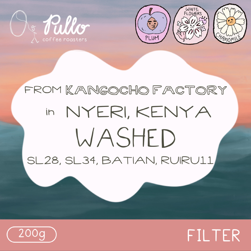 

Filter Roast - Nyeri Kenya Washed