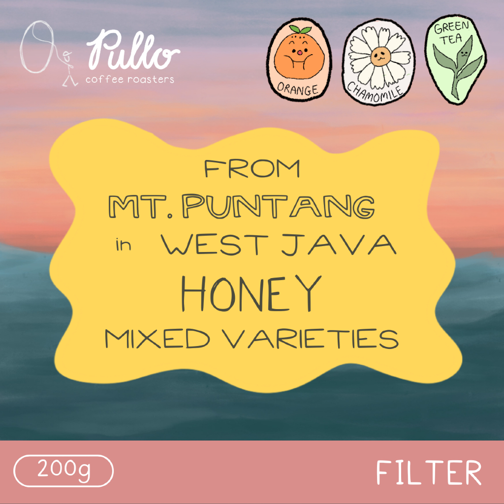 

Filter Roast - Puntang Honey