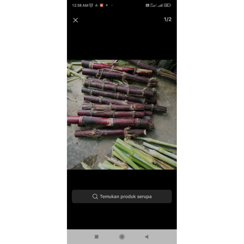 

Tebu ireng segar manis isi 5 batang 40cm per batang