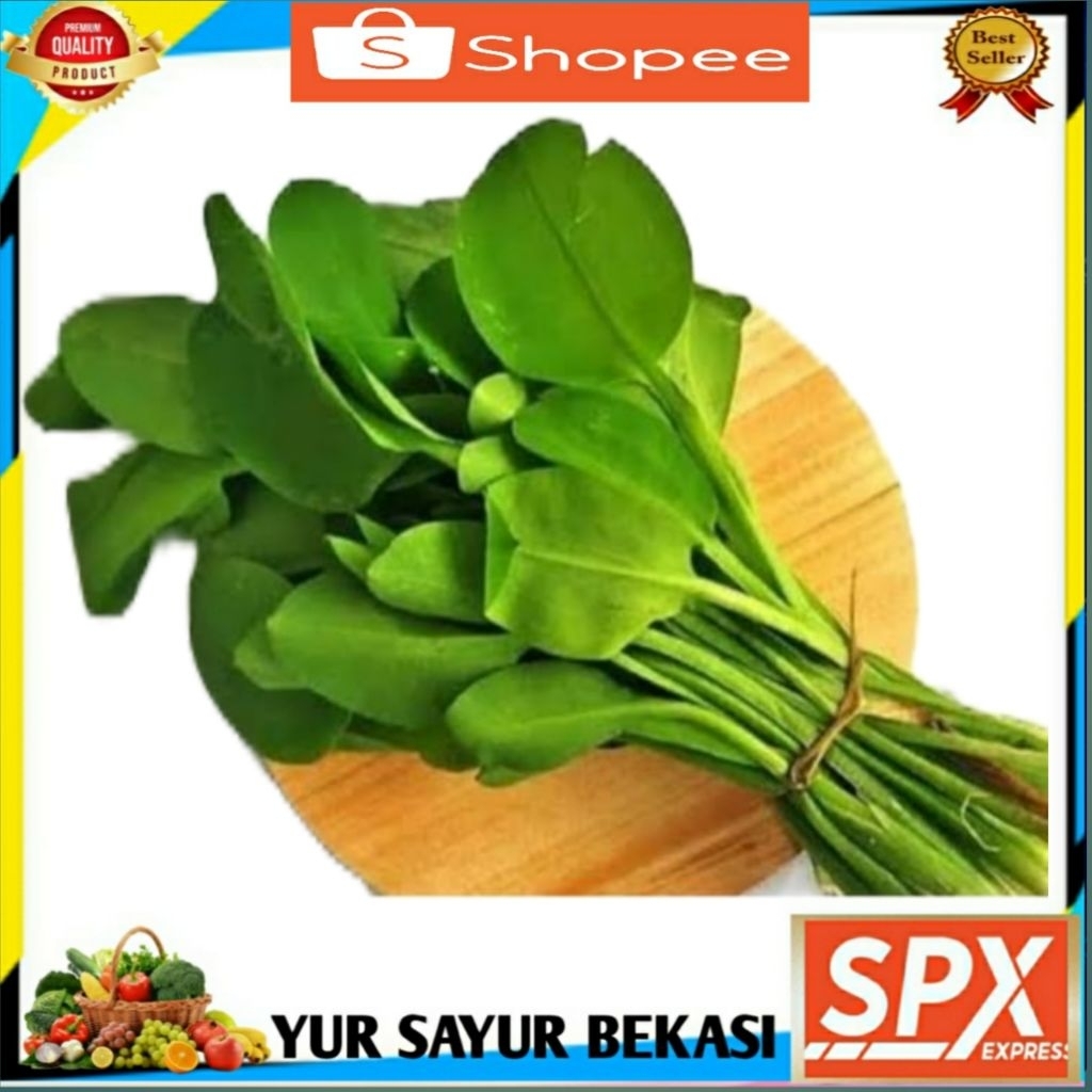 

Daun Genjer/Pucuk Genjer 2 ikat.