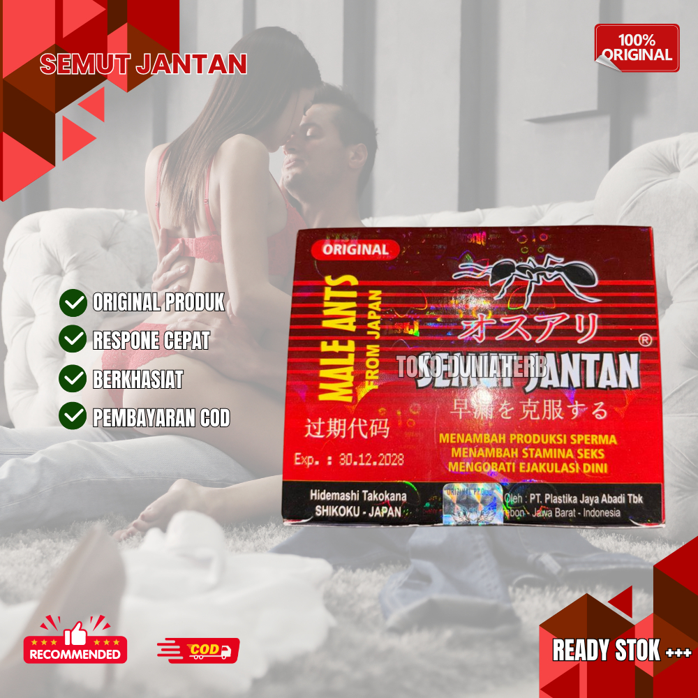 

Semut Jantan Original