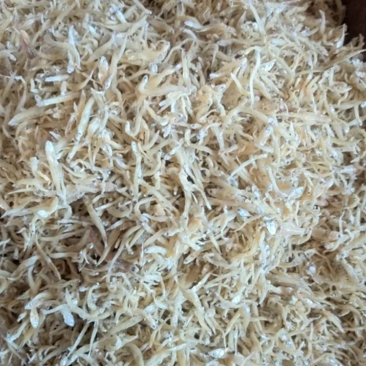 

TERI NASI/TERI MEDAN ASIN KERING 1/2 & 1 KG (500 - 1000 GRAM)