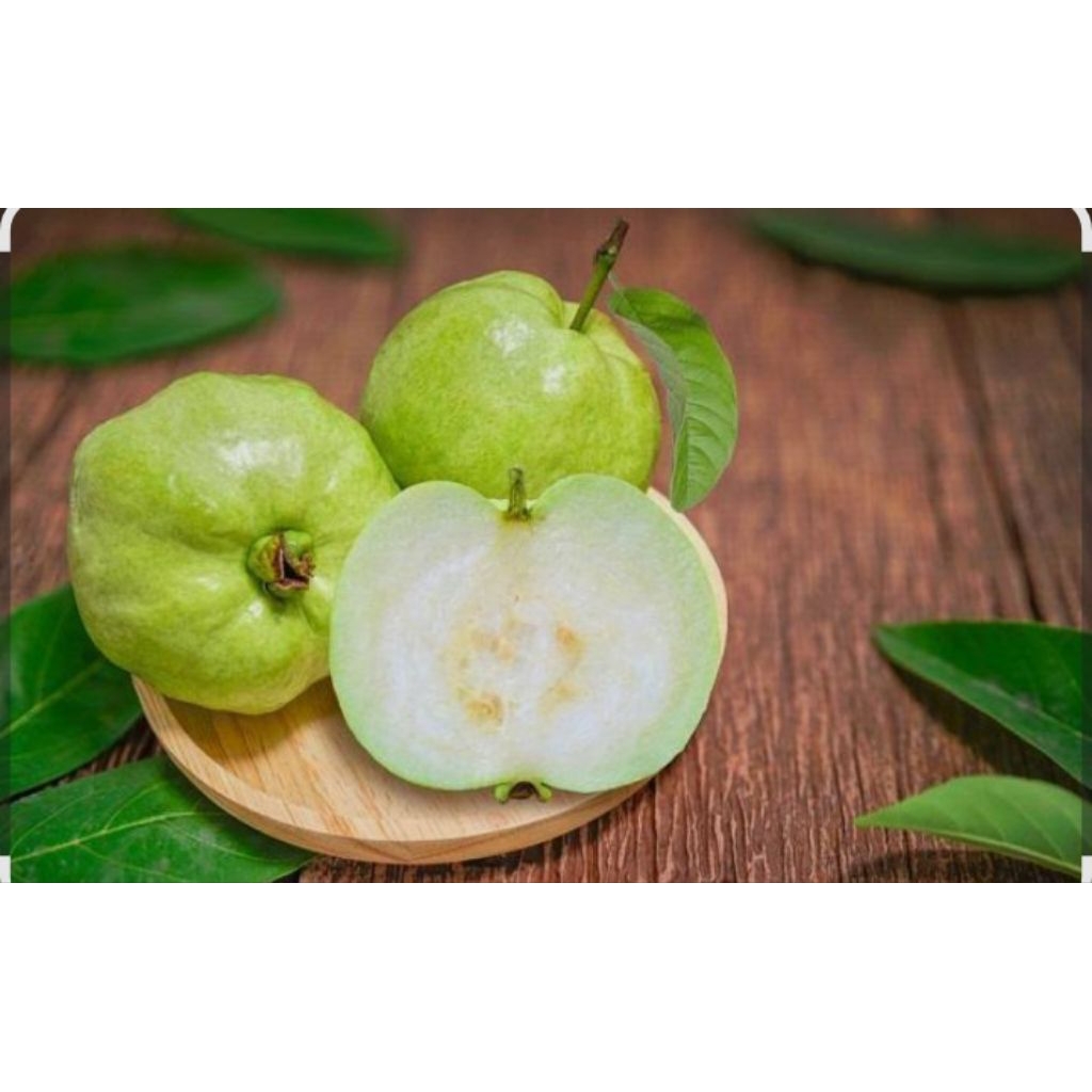 

jambu kerstal grade A manis dan renyah super fress