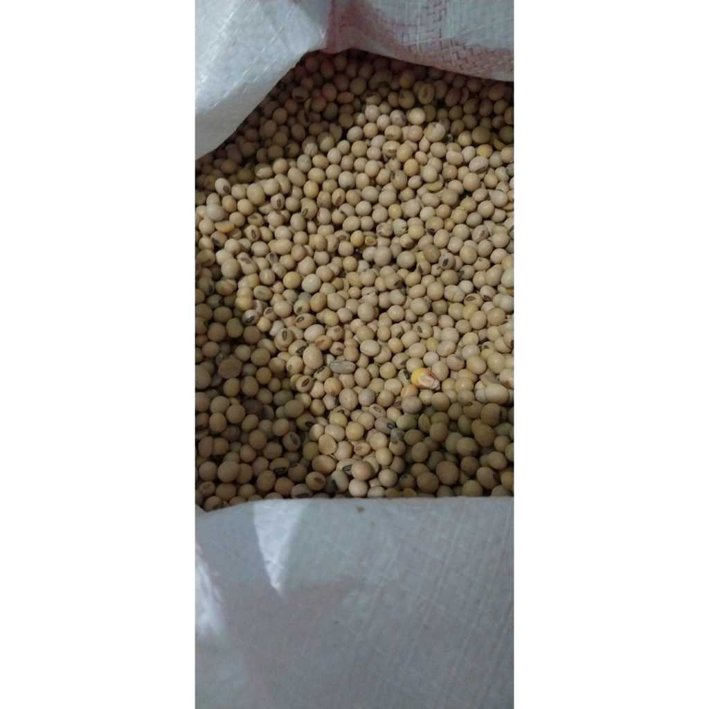 

Kacang Kedelai Biji - 5 Kg