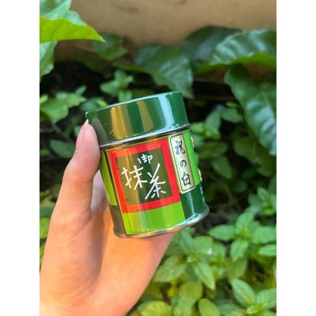 

[READY] KITAGAWA Zuiho, Yakumo, Aomi white, Wai no Shiro, Gomukashi, Hatsumukashi