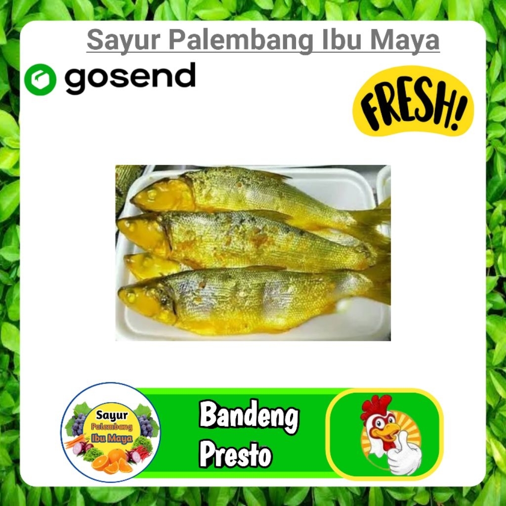 

Ikan Bandeng Presto 1 Pcs - Palembang