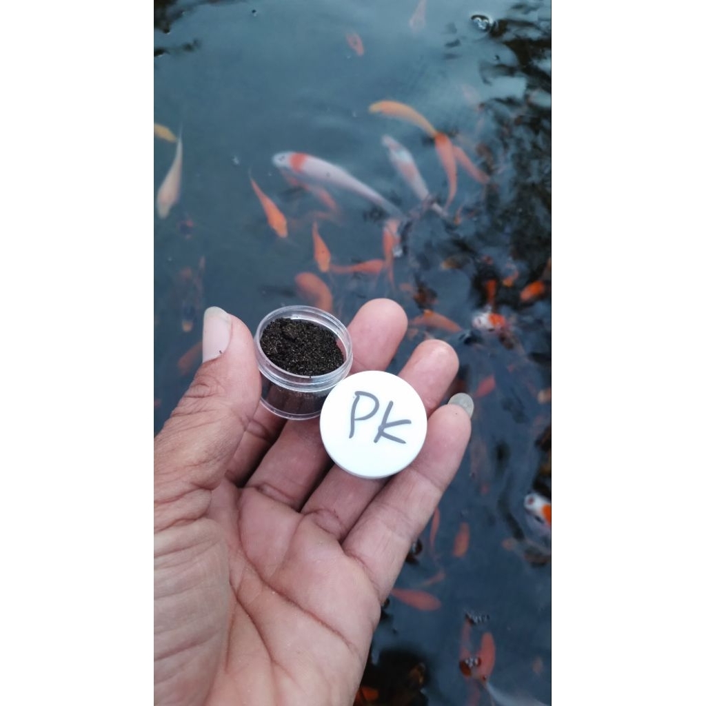 PK IKAN / OBAT JAMUR IKAN / KALIUM PERMANGANAT / OBAT CACAR IKAN 10g