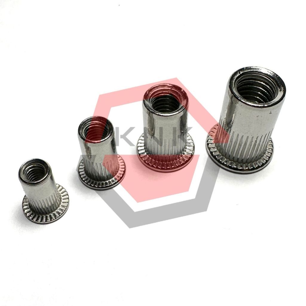MUR RIVET NUT M10 P1.5 STAINLESS STEEL