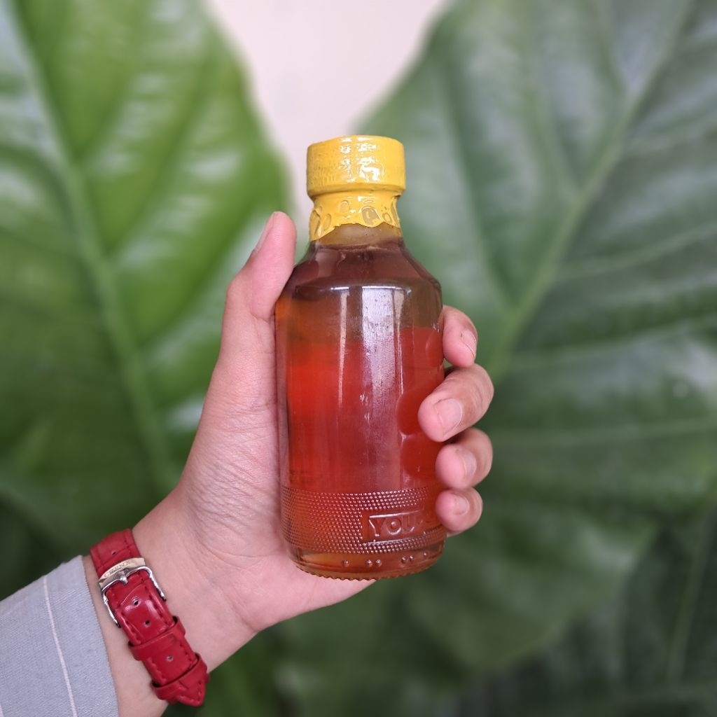 

Madu Hutan Asli Lokal 150ml