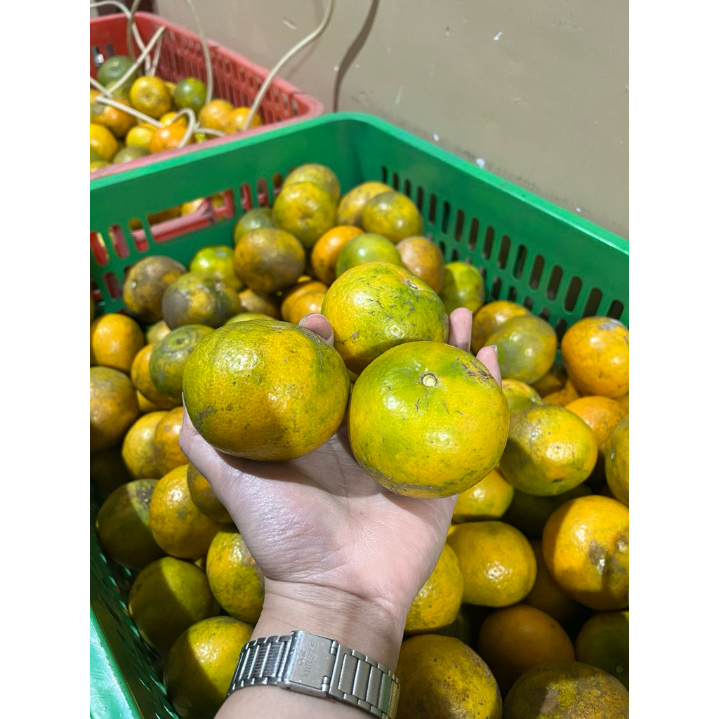 

Jeruk RGL 1 Kg - Manis Sedikit Asam