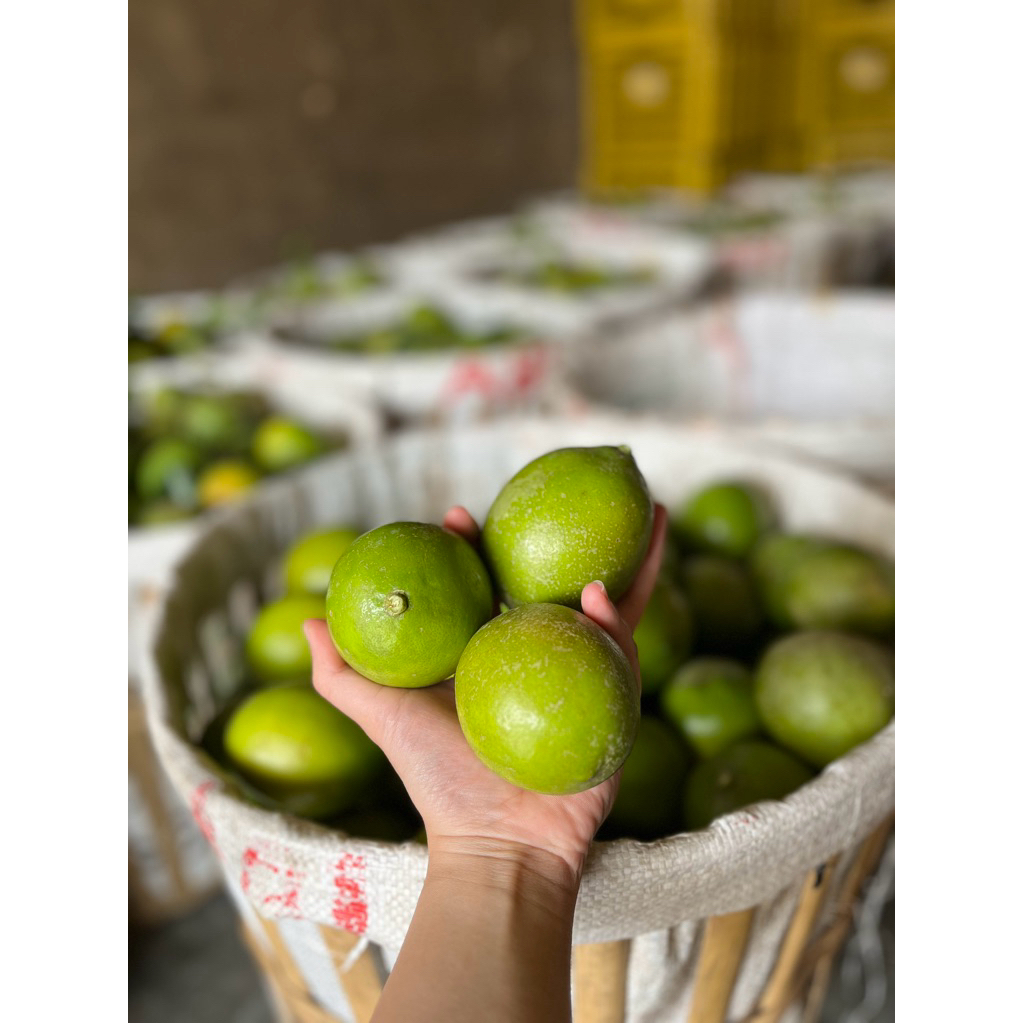 

Lemon California 1 Kg Fresh