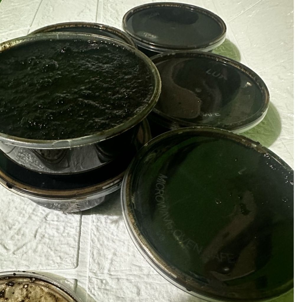 

Lulur Rempah hitam 200gr