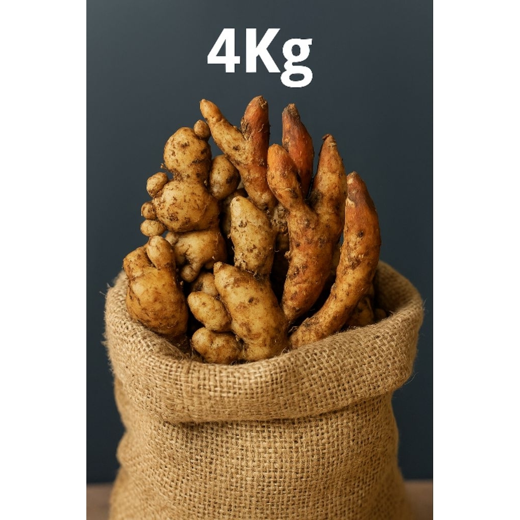 

(4kg) Kencur Segar/Fresh