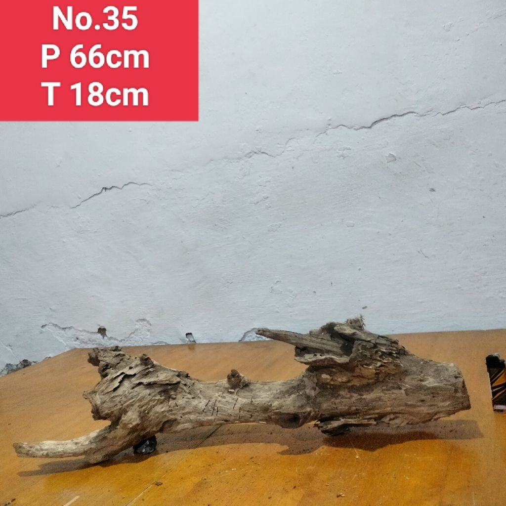 Akar santigi laut kayu santigi hiasan aquascape aquarium 35