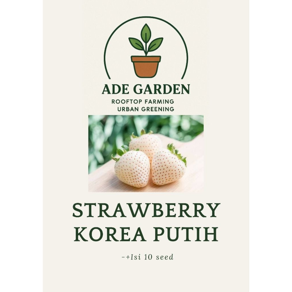 Benih Seribuan - Strawberry Putih korea F1 Ade Garden