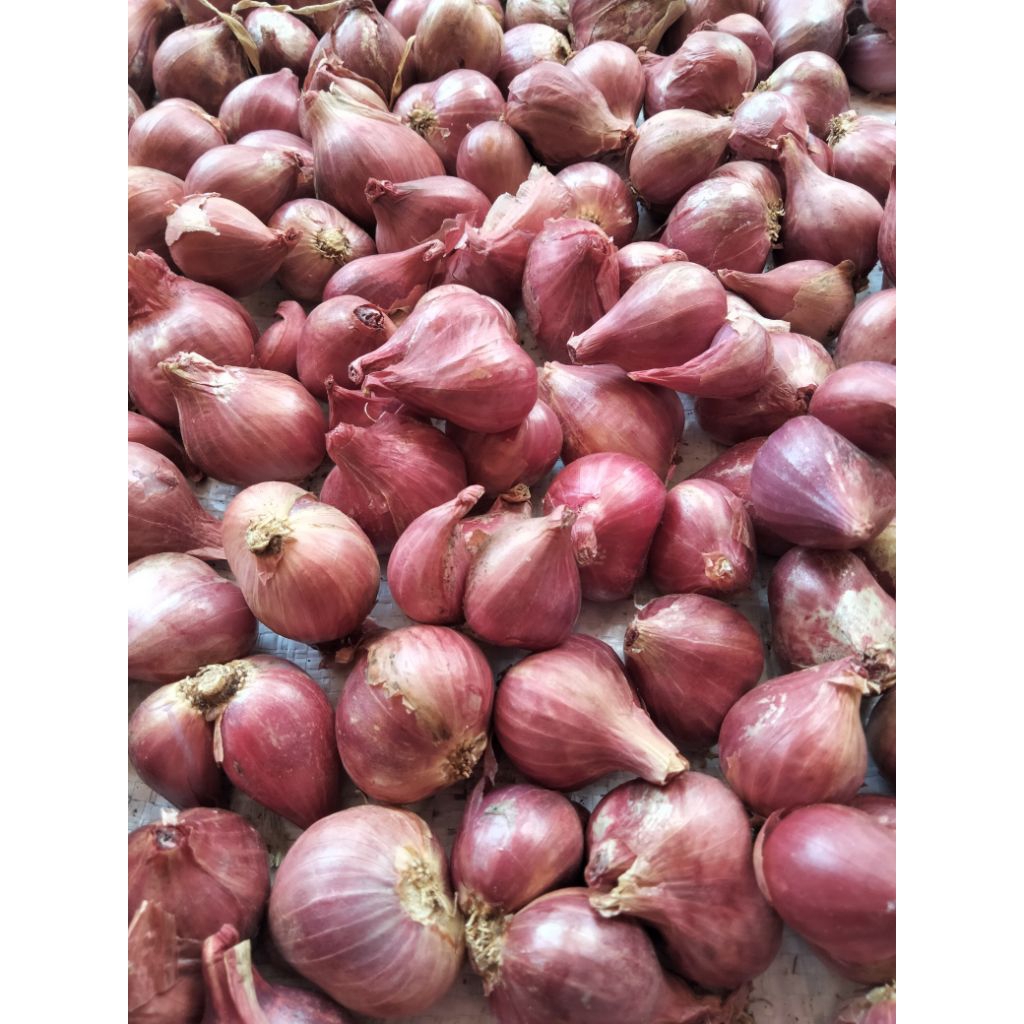 

Bawang merah probolinggo sedap