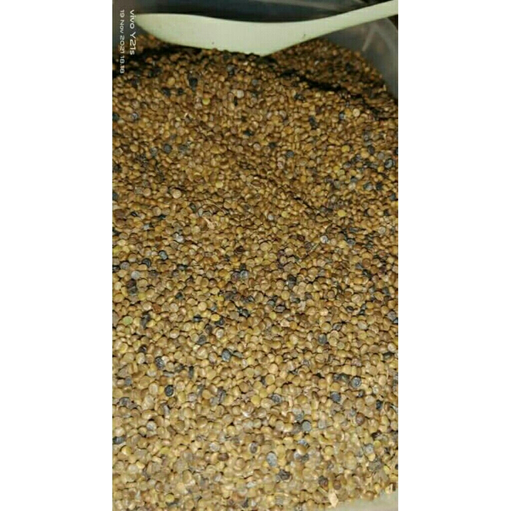 

Pete Cina Kering 1 Kilo Harga Rp.6 Ribu