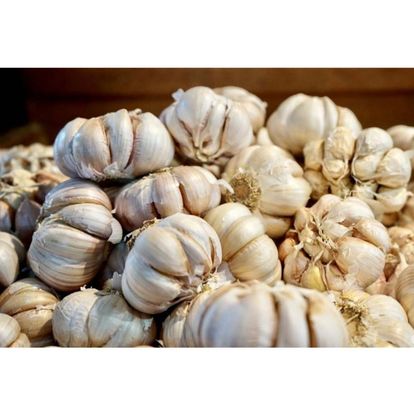 

Bawang Putih Murah 10 kg / Pengiriman Kilat Surabaya