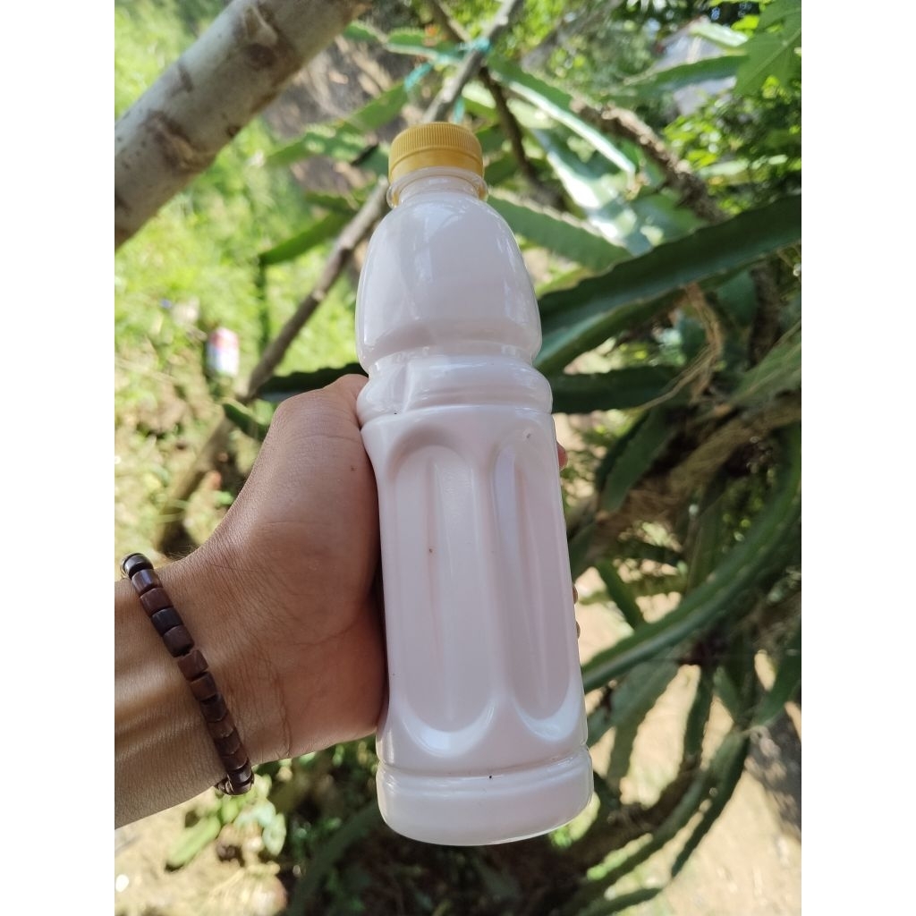 Getah karet murni 600mil (COD)