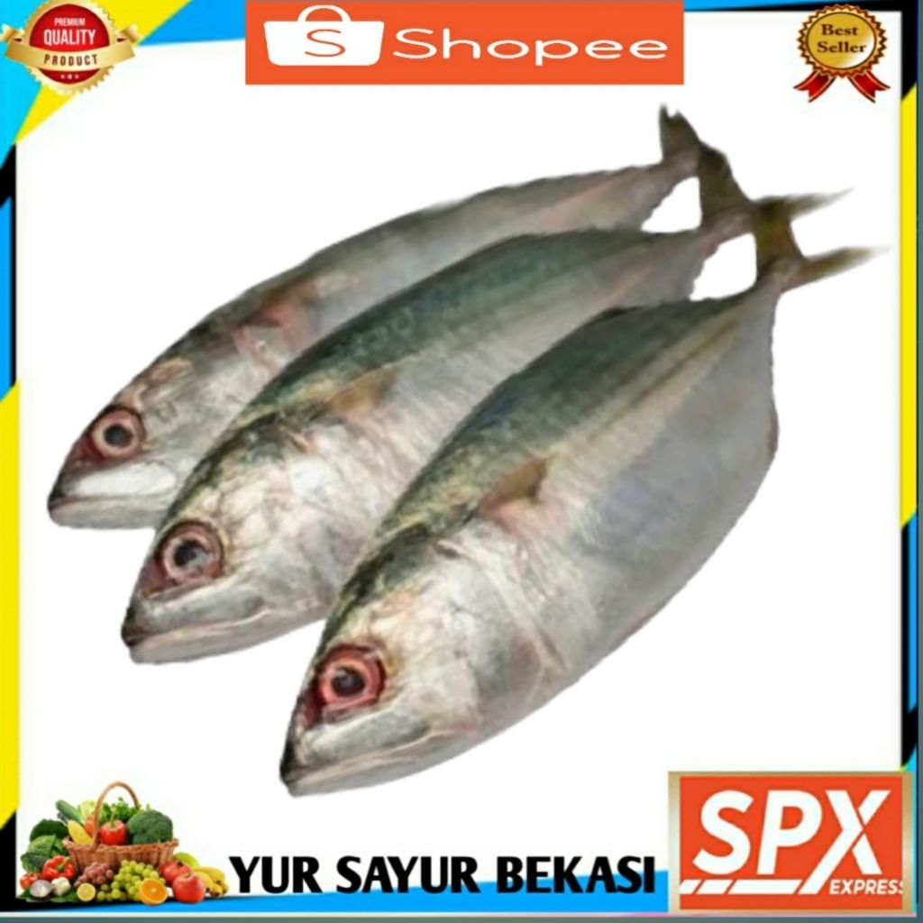 

Ikan Kembung -+ 500gr.