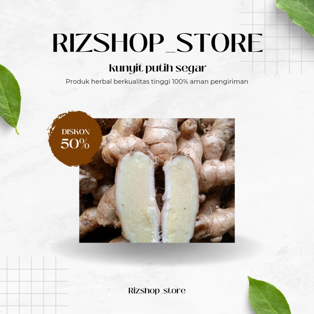 

kunyit putih curcuma zedoria segar 1 kg siap kirim