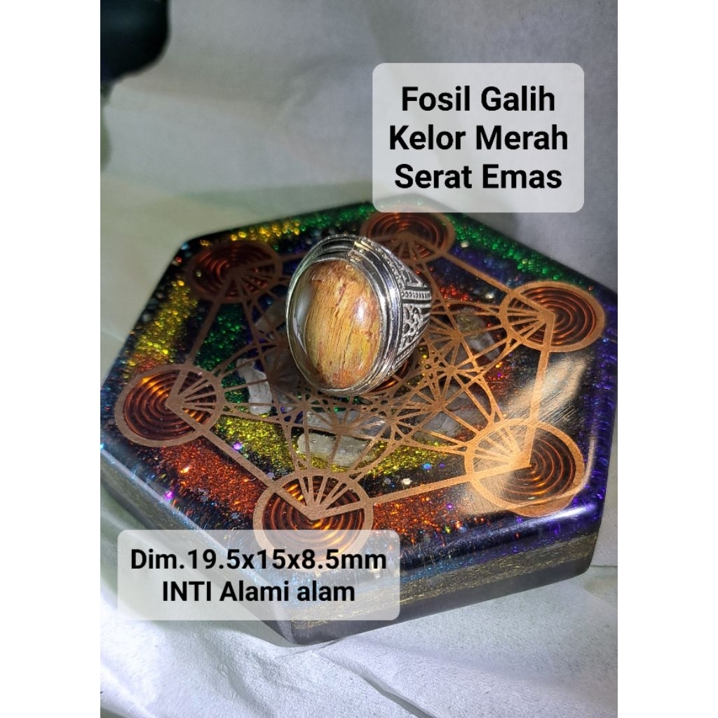 Natural Fsl GALIH KELOR Merah Serat Emas  Alami Les Kelor Sumatra Teras Gemunggal Batu Alam Fokay Mo