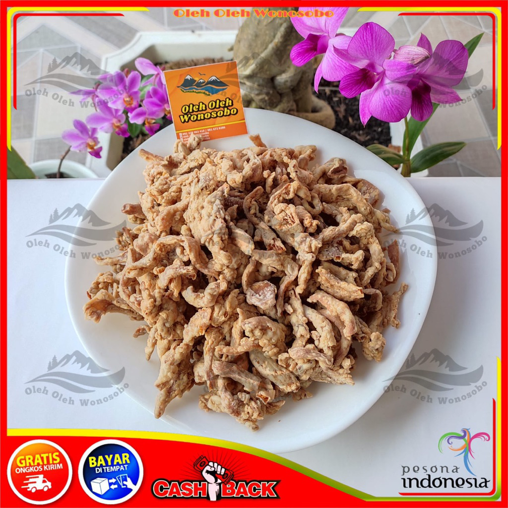 Keripik jamur Tiram Khas Dieng