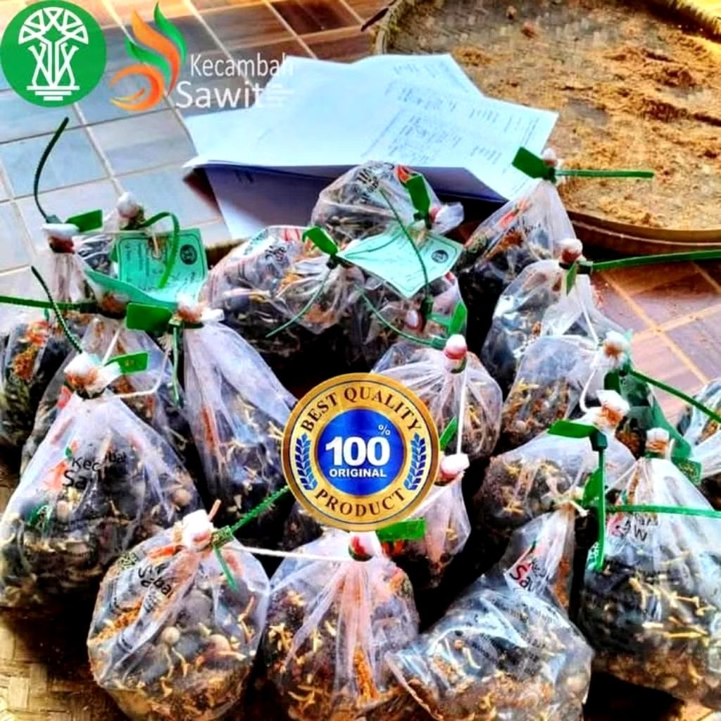 PPKS MEDAN ISI 250 BUTIR