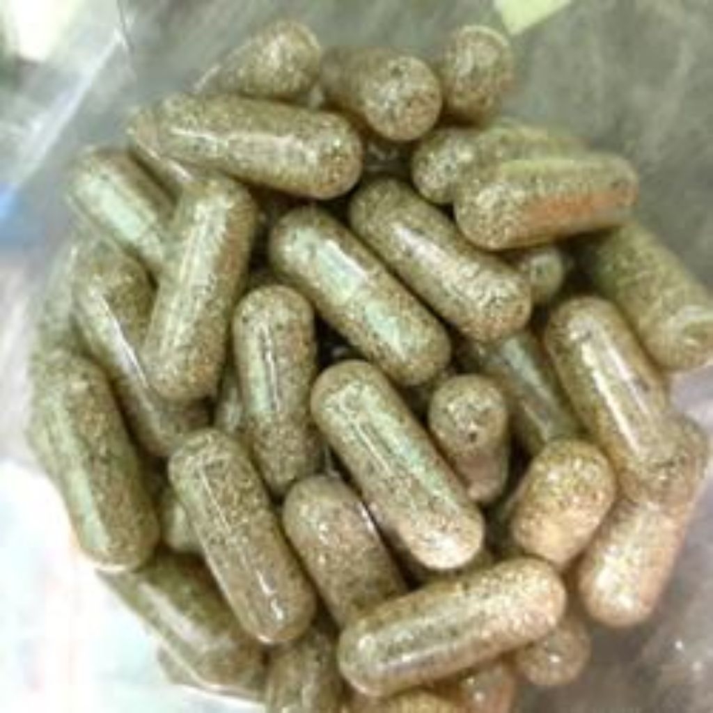 TELUR KUTU AIR MOINA