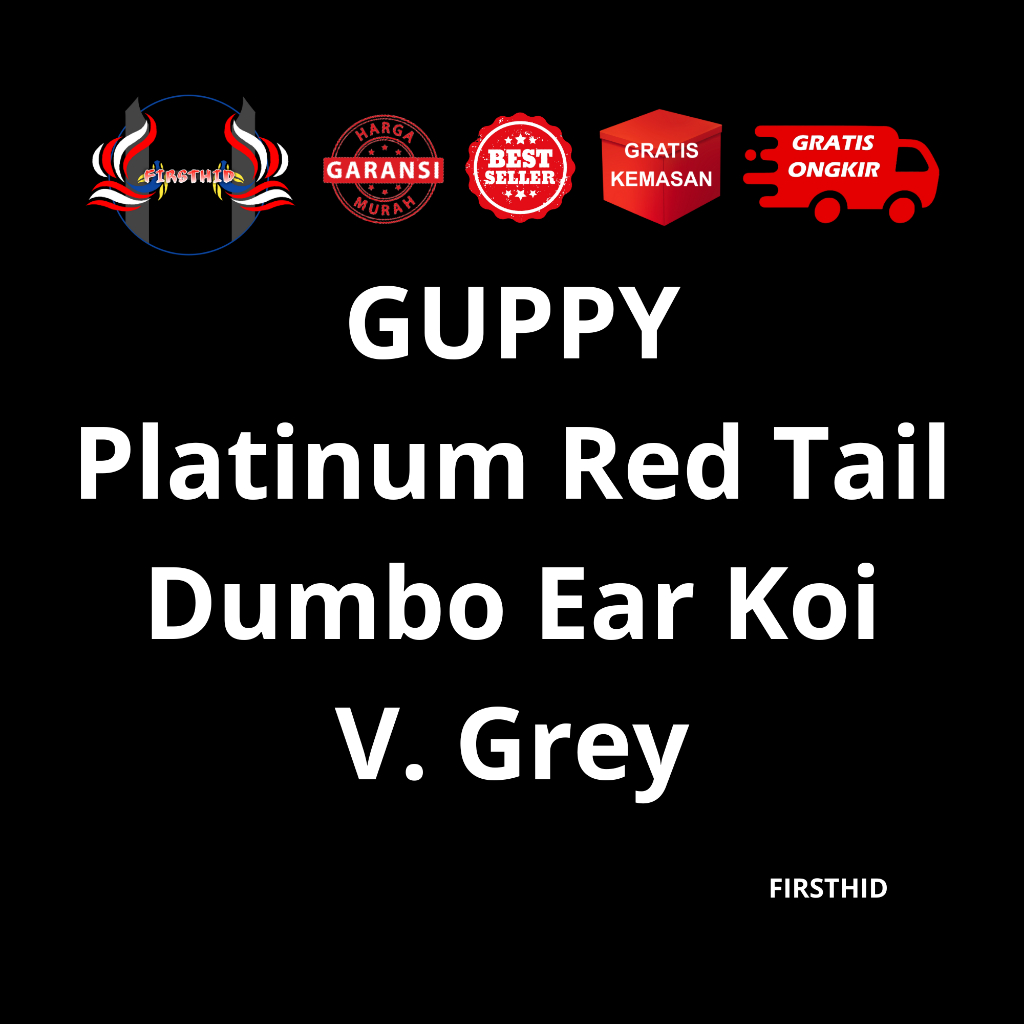 (BEST SELLER) Aksesoris Akuarium GUPPY Platinum Red Tail Koi Dumbo Ear