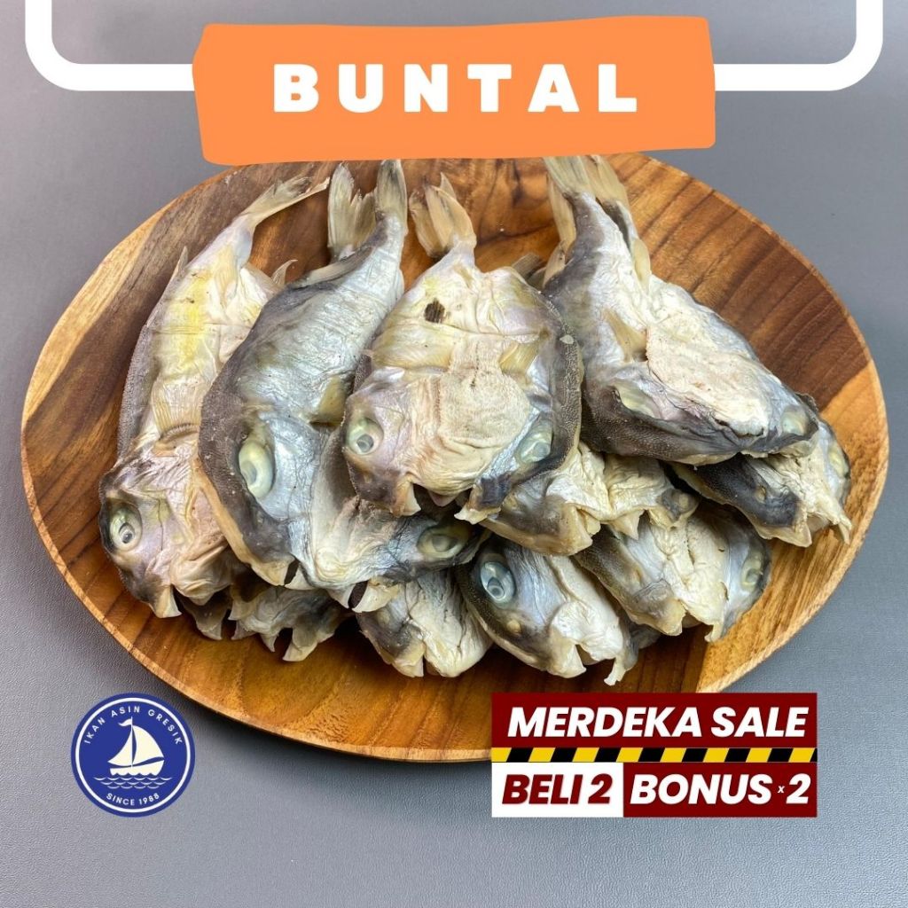 

Ikan Asin Gresik Ikan buntal laut belah asin gurih aman dikonsumsi berat 500 gram