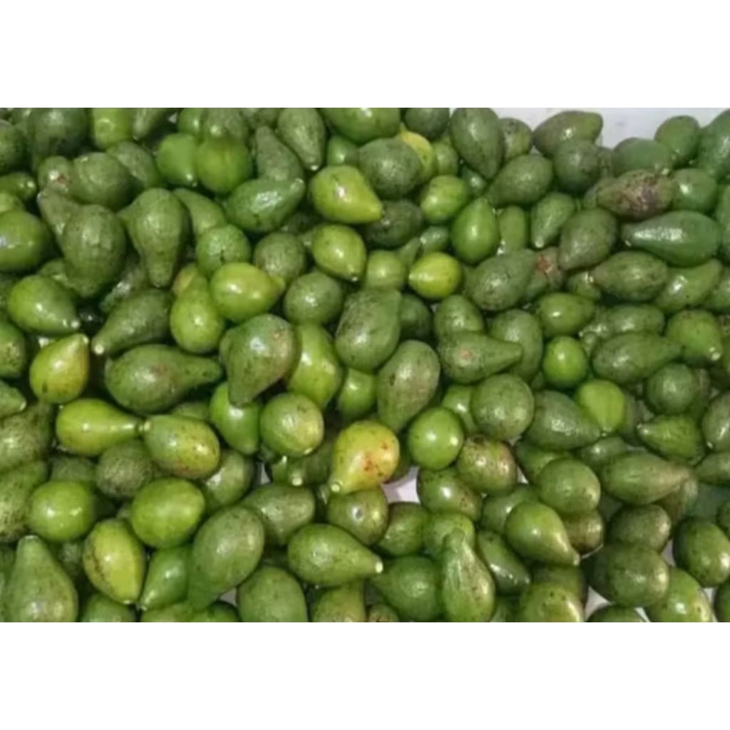 

Alpukat mentega segar mentah_1kg