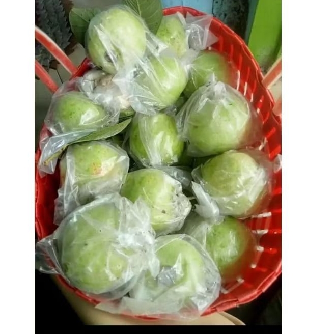 

isi 5-6-7 jambu kristal 1kg