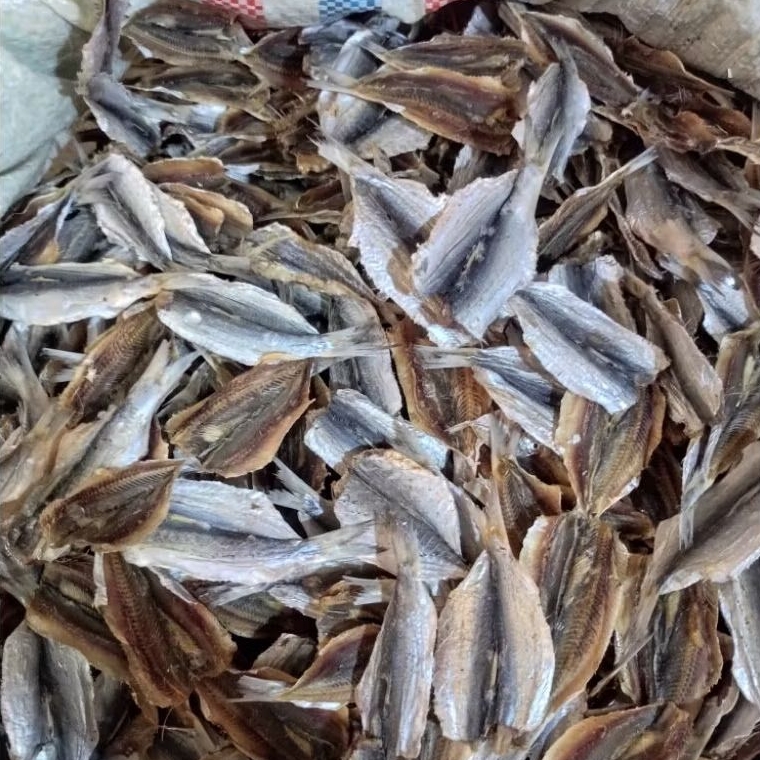 

TANJAN TIPIS/FILET TANJAN TAWAR 1/2 & 1 KG (500 - 1000 GRAM)