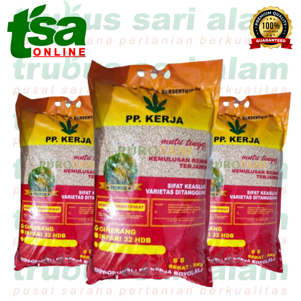 BENIH PADI PP KERJA VARIETAS CIHERANG DAN PEPE SRIPUTIH KEMASAN 5KG