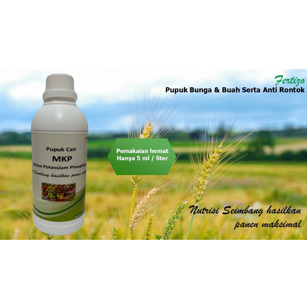 Fertizo - Pupuk Cair Pelebat Buah - Pupuk MKP