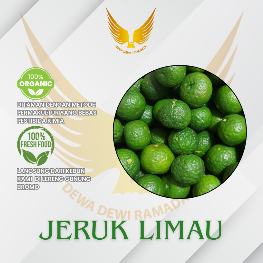 

Jeruk Limau Organik Dewa Dewi Rama Daya