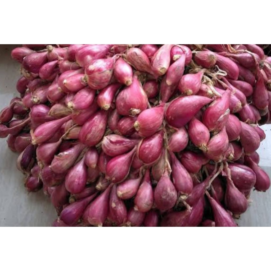 

Bawang Merah 250 g