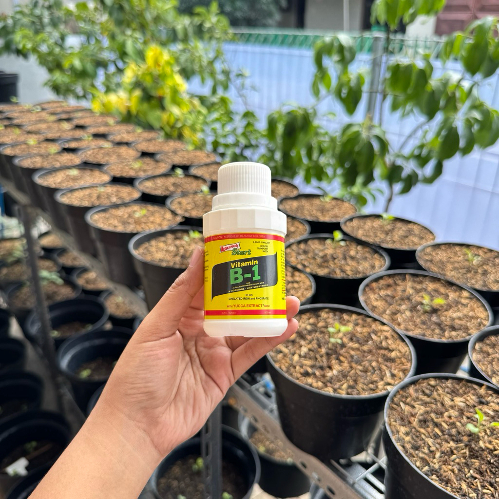 Vitamin B-1 Tanaman