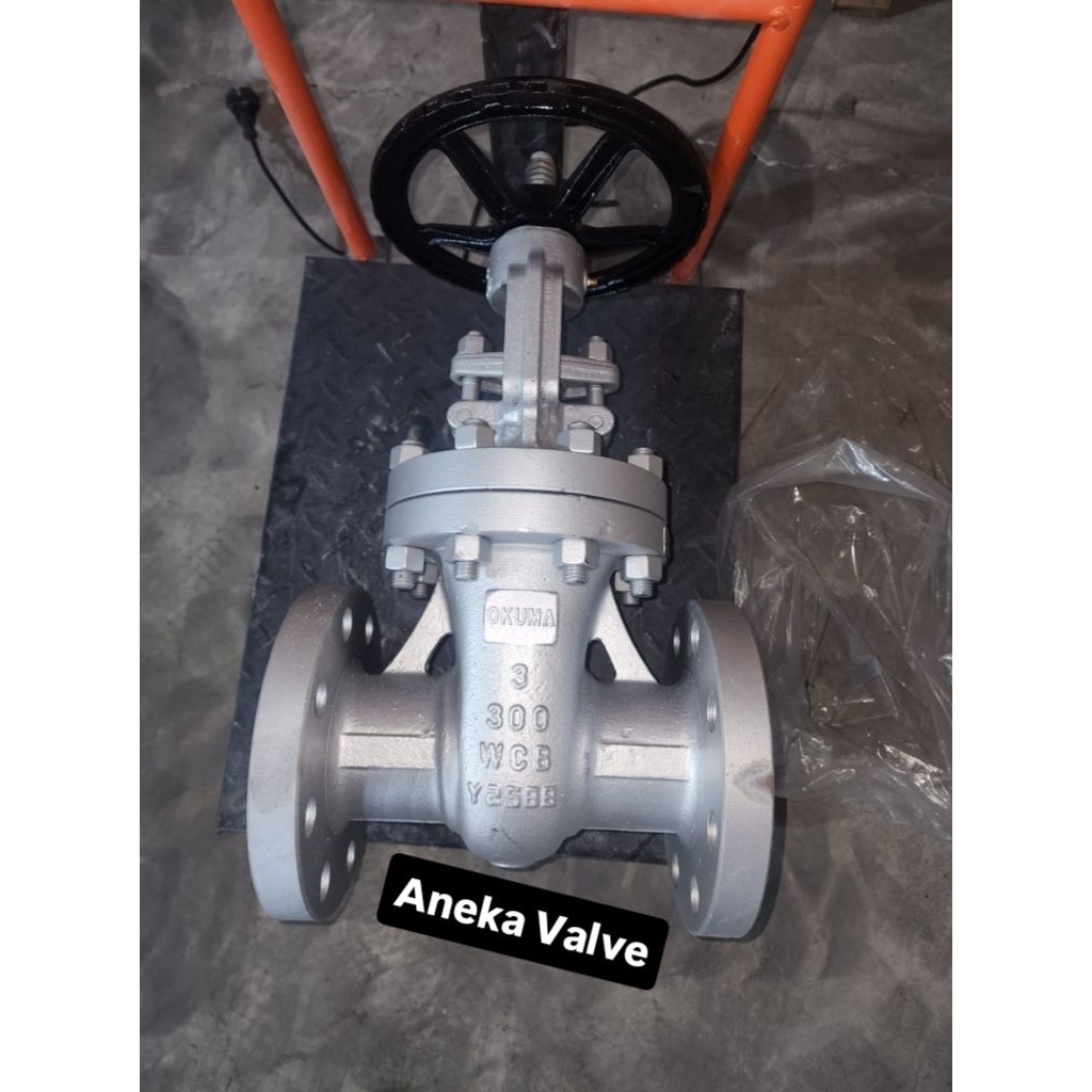 GATE VALVE WCB ANSI 300 FLANGE SIZE 12"