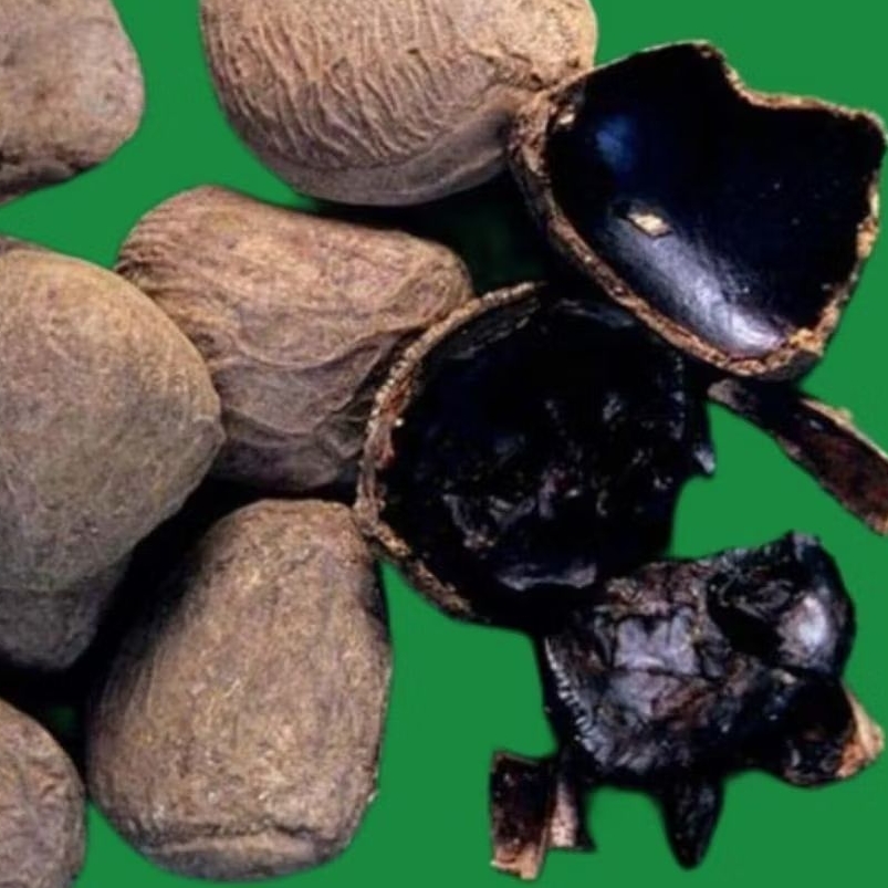 

Kluwek Rawon murah 500gr 1/2 kg