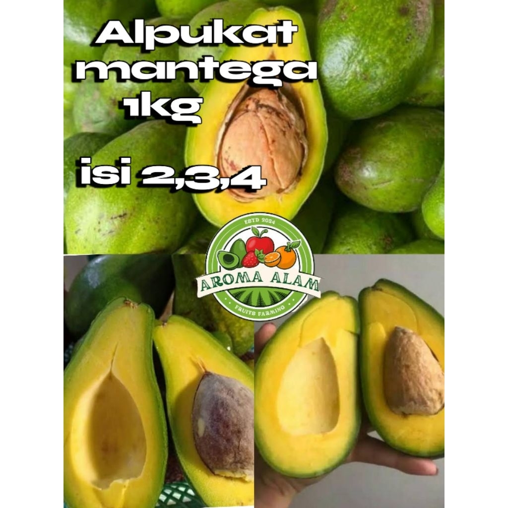 

alpukat mantega legit manis 1kg isi 2,3 sampai 4