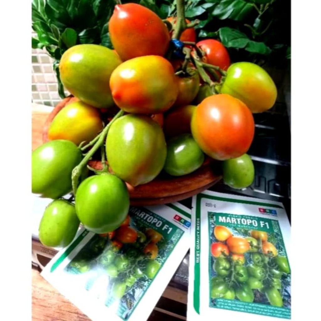 BENIH TOMAT MARTOPO F1 10 GRAM- BRC